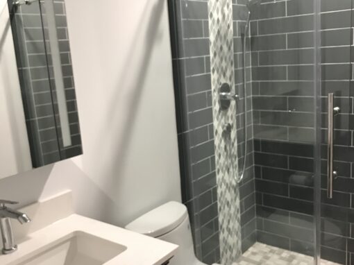 Bucktown Bath Remodel – Le Moyne St